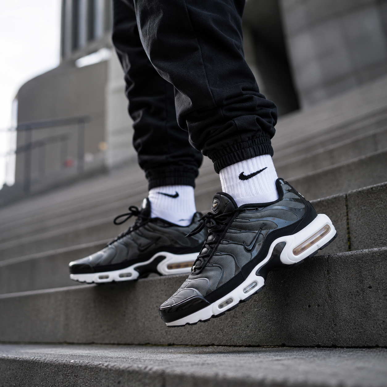 Nike Air Max Plus